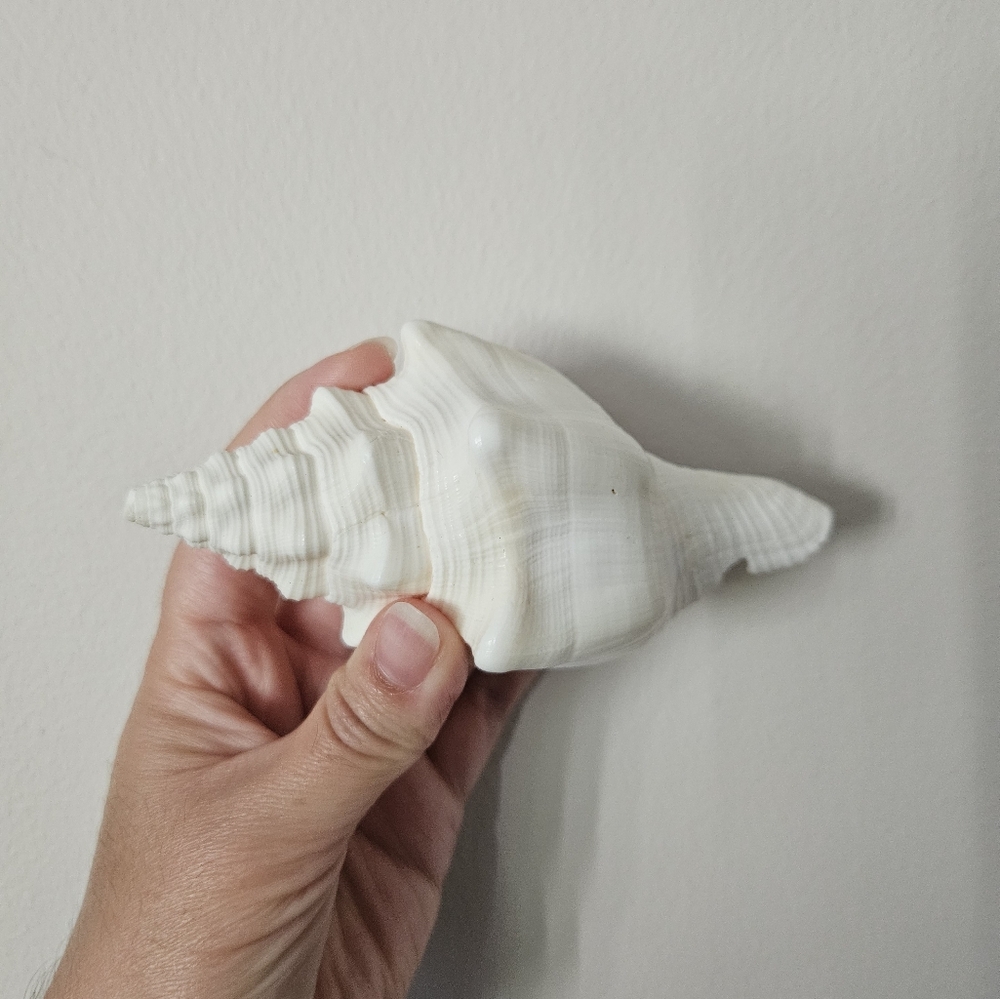Vintage Shell